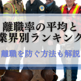 離職率の平均と業界別ランキング